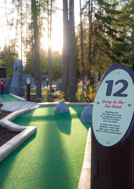 A mini golf course among tall conifer trees.