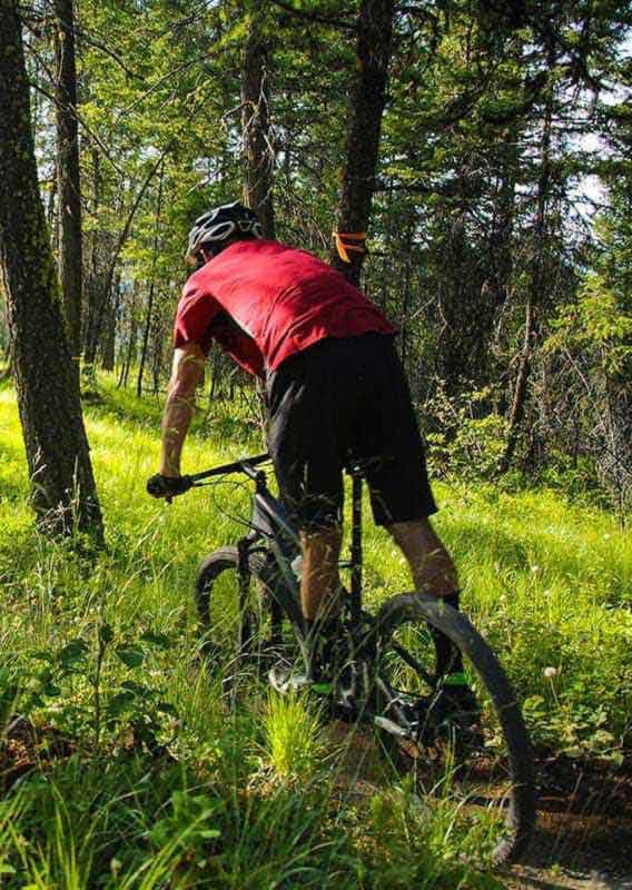 Three mountain bikers ride on a trail through grass and trees