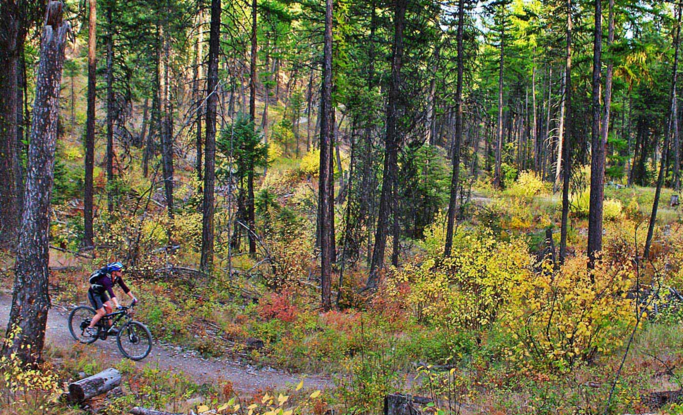 Whitefish mountain resort mountain biking hot sale