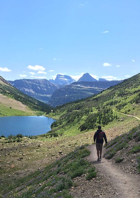 Glacier 2025 day hikes