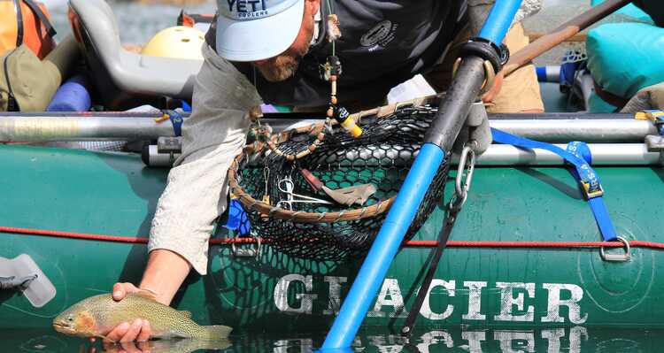 A fisherman leans over the side of the boat with a net to catch a fish.