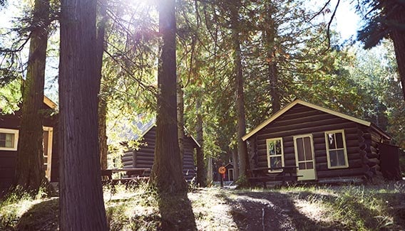 The exterior of Apgar Village Lodge & Cabins in the summer.