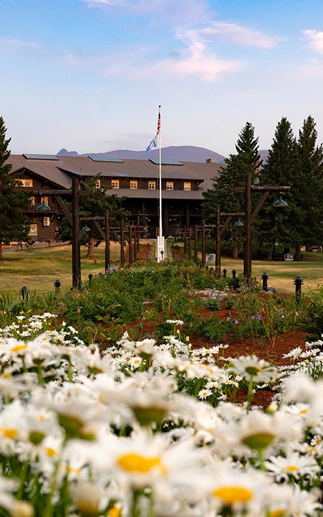 A view towards a large wooden lodge through the landscaped garden.