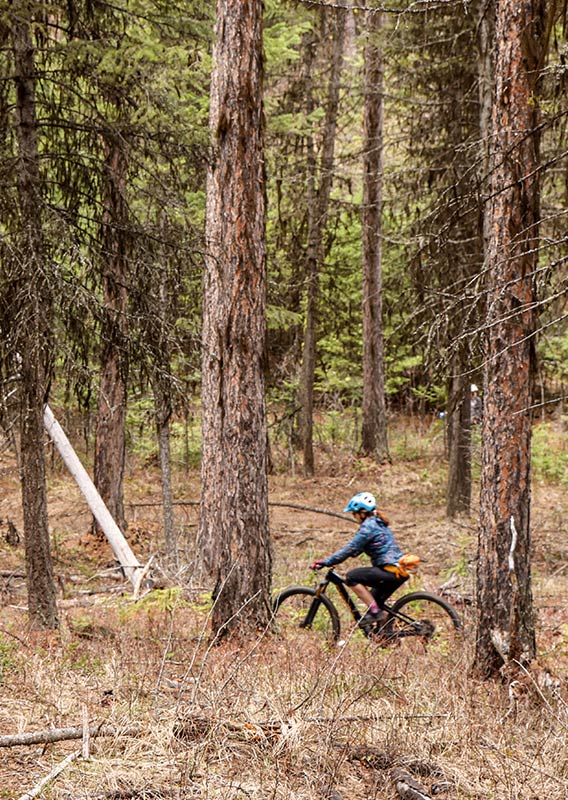 Grouse mountain bike trails online