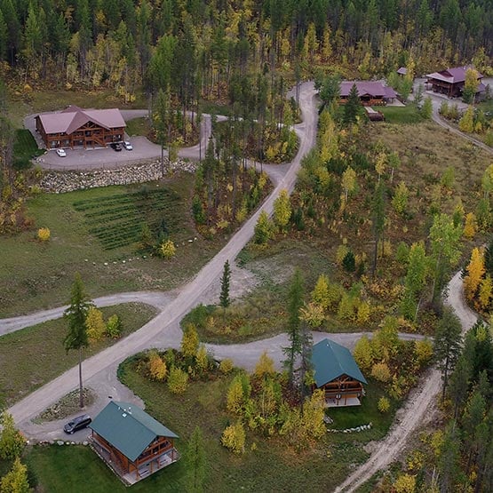 An aerial view of cabins nestled between conifer trees