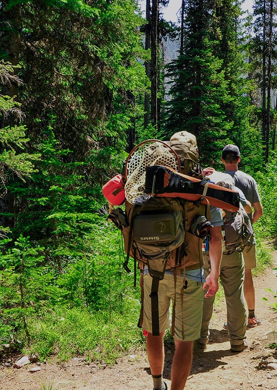 A group of hikers on a forested trail.